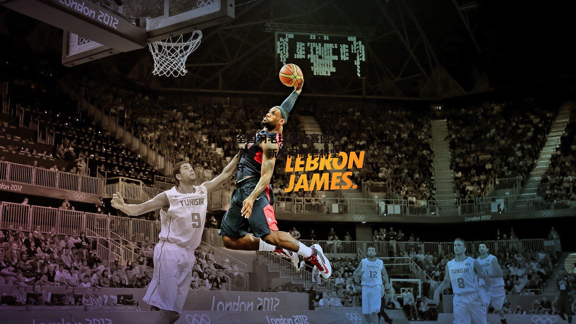 全国羽毛球锦标赛圆满落幕,新星闪耀老将坚守